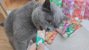 The Cats Creamy Lickable Liquid Lick Cat Snack Treats (10G x 6) 60G