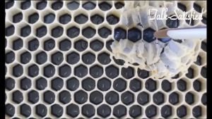 Stick pengambil peletak ratu larva peternakan lebah beekeeping tools