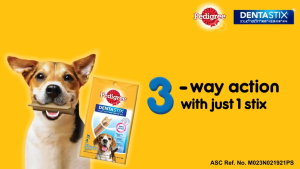 Pedigree DentaStix Medium Dental Chew for Dog 344G