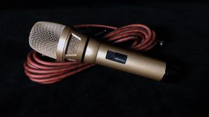 RAYHAYES RD-1 Dynamic Microphone original Professional Cardioid Wired Mic Black Metal Wired Microphone Home Karaoke Wired Mic