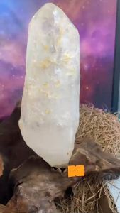 Bụi đá thạch anh tự nhiên vàng trong tán sắc Lemurian năng lượng vũ trụ mạnh tặng đế gỗ 565