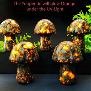Random 1PC High Quality Yooperlite Mushroom Decoration Natural Crystal Raw Stone Birthday gift Scene decoration.