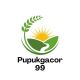 pupukgacor99