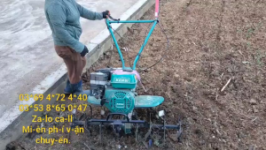 Máy xới đất mini gia đình Kensi KS190