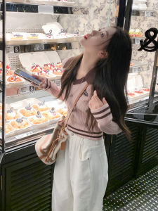 Zeng Xiao Salt Korean Style V-Neck Striped Long Sleeve Knitted Sweater Womens Slim Fit Base Shirt Short Top Inner Wear