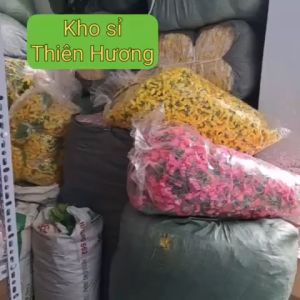 GIÁ SỈ XƯỞNG HCM - Combo 100 BỊCH mai đào 40 bông/bịch hoa mai đào vải trang trang trí tết 2025. NGUYÊN BAO 4500/BỊCH
