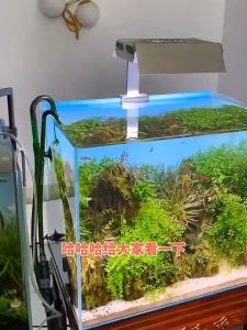 155cm Sikat Aquarium Gagang Panjang Lily Pipe Sikat Pembersih Aquarium Sikat Pembersih Pipa Sikat Selang Aquarium