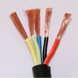 Rvv Copper Core Three Phase National Standard Home Use Wire 25 Square Millimeter Black Power Cable Soft Cable