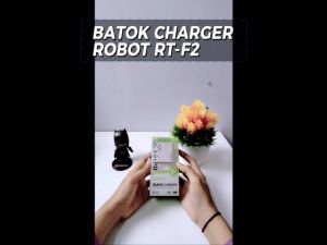 ROBOT RTF2 Adapter Charger Casan Quick Charge 18W Dual Output Type C Original