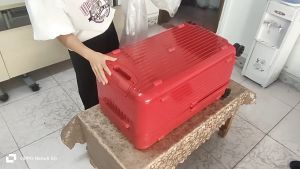 【Video#】Non-Product，Just a video! For Luggage Cover Install Video!! Plastic Bags Will Be Given Away For Free!!