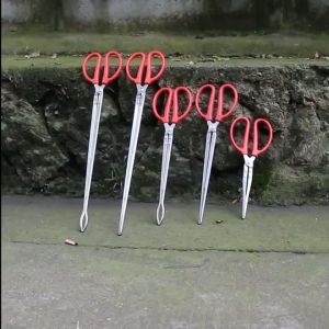 Eel Clip Stainless Steel Sea Fishing Clip Fish Crab Paper Scraps Fishing Iron Tongs Plastic Handle