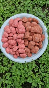 Butik s 10kg kill mouse pembasmi tikus total guard long term rodent protection system tikus bulu kasar ladang sawit koko house dapur mice hotel restaurant