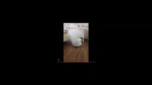 [การจัดส่งในกรุงเทพฯ] 💥รมควันครั้งเดียว ไร้แมลง10ปี💥 ฆ่าแมลงรอบทิศทาง360° ควันไล่แมลง กำจัดแมลงสาบ หมัดแมลงวัน ยุง และแมงมุม หนู งูปลวก ควันไล่ยุง ยาฆ่าแมลง และแมลงอื่นๆ