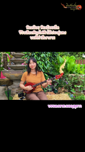 พิณไฟฟ้าไม้ประดู่แดง บอดี้ทำสีเงา 3 สาย 15 เฟรต 2 คอนแทค บอร์ดไม้แต้ดำ อะไหล่ชุดสีดำ