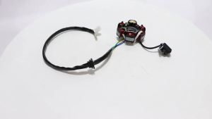 GY6 50cc-125cc 6 Pole Coil 5 Wires Half Wave Ignition Magneto Stator Replacement for ATV Quads Bike Scooter Quad Go Kart Engine