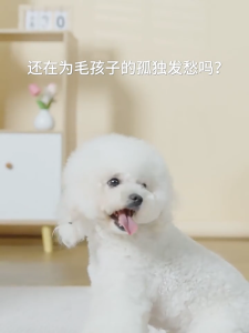 Yellow Duck Pet Food Dispenser Cat Dog Interactive Toy Trainer Automatic Feeder Interactive Toy