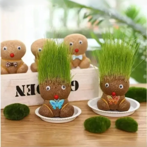 Grass Head Doll Children Growing Grass Doll Toys Children Growing Grass Doll Toys Mini Plant Grass Head Room Decor