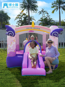 Doctor Dolphin | Indoor/Outdoor Inflatable Bouncy Castle Slide Playground