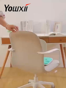 Posture Corrector Chair Lumbar Back Support Chair Cushion Curable Chair Office Chair Cushion Waist-back Sitting Chair Suitable for Office Students Easy to Carry Home Office Chairs