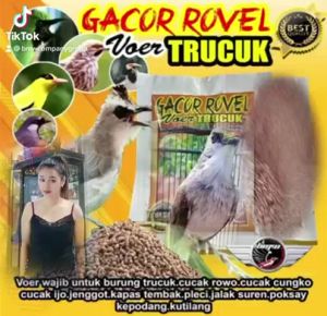 Voer Trucuk & Pakan Burung Berkualitas Tinggi