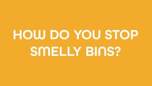 Bin Buddy Fresh 450g