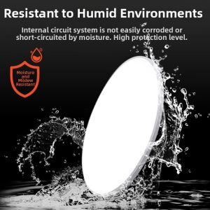 PAIMIJI | Waterproof & Insect-Resistant Ceiling Light