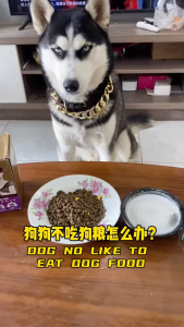 MYFOODIE PET DOG MIXED FOOD WET FOOD TRAINING REWARDS CHICKEN BEEF FISH FLAVOR 95G)