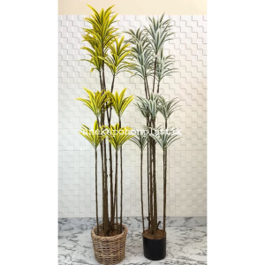 Pohon Hias Tanaman Artificial Song Of India T170 Variasi Warna Kuning & Putih Latex Cover Keranjang Rotan Hiasan Dekorasi Ruang Tamu Aesthetic