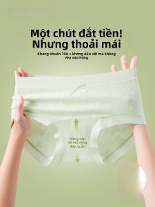 Quần lót cotton nữ PIER N°5 cạp vừa kháng khuẩn không đường may thoải mái