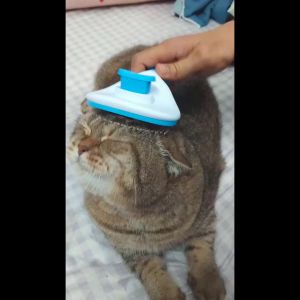 Lược chải lông chó mèo DACOTE có nút bấm tiện lợi giúp tách lông tự động dễ dàng