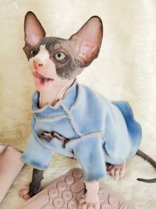 Hairless Cat Non-Wear Skin Clothes Sphinx Cat German Conis Winter Base Shirt Warm Comfortable Soft Fleece-lined