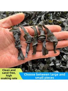 Dried Thick Sand-free Sea Kelp 500g