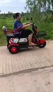 LEETA POWER รถสามล้อไฟฟ้า 1000W แบตเตจรีCHILWEE รถไฟฟ้าผู้ใหญ่ 3 ล้อ รุ่นใหม่  จักรยานไฟฟ้า รถมอเตอร์ไซค์ไฟฟ้าสามล้อ มอไซไฟฟ้า electric bike รถสามล้อไฟฟ้า ราคา 1000W Electric Motor Kit - Lazada