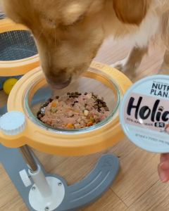 Pate Cho Cún Vị Thịt & Rau Củ Nutri Plan Holic (Lon 85g)