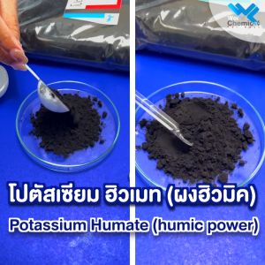 1 kg ฮิวมิคผงปรับสภาพดิน เพิ่มประสิทธิภาพปูย ขนาด 1 kg