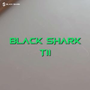 Black Shark T11 TWS Wireless Earbuds with Active Noise Cancellation Bluetooth 5.3 30 Hour Battery Life RGB Light Low Latency