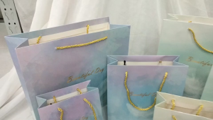 HUI..ถุงกระดาษหูหิ้ว ถุงกระดาษพับข้าง สีพาสเทล/ทูโทน ลายขนนก เรียบหรู ใส่ของขวัญ ของชำร่วย