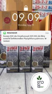 รูทดี 100 มิลลิลิตร น้ำยา เร่งราก ฉีดพ่น ช่วยการแตกราก พืช กิ่งตอน กล้วย ไม้ ดอก ไม้ ถาก แปลงกล้า ข้าวเปลือก ราก กล้า พืช ทุกชนิด