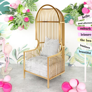 Bean Bag Casual Scandinavian Single-Seat Sofa Chair Accessible Luxury Designer Normcore Chair Internet Celebrity Clothing Store Bird Cage Sofa Chair