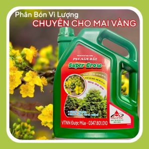 SÂM ĐẤT Cho MAI VÀNG (5 lít) - Phân Bón NK Hạ Phèn Giảm Mặn Giải Độc Ra Rễ Khoẻ Nảy Mầm Phục Hồi Cây Suy - VTNN Được Mùa