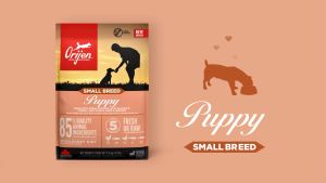 Orijen Small Breed Puppy Dog Food (Variable size)