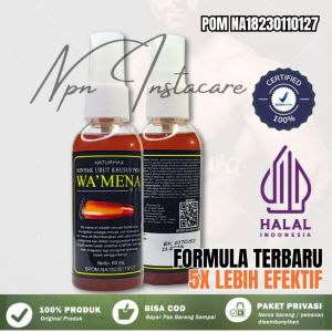 Minyak Wamena Naturmax Pembesar Mr P Permanen Mengobati Ejakulasi Dini Tanpa Efek Samping