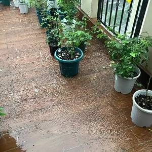Ống Thoát Nước Bên Hông Inox 304 Dày 50mm