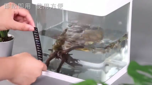 2pcs สติกเกอร์ เทอร์โมมิเตอร์ แถบเทอร์โมมิเตอร์ดิจิทัล ติดตู้ปลา ถังหมัก