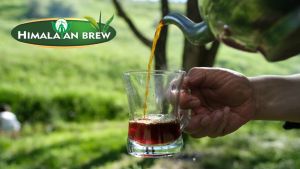 ชาเขียวมิ้นต์ ชนิดซอง แพ็ค 25 ซอง (low caffeine)