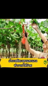 【ฟรี 10 ม้วนเทป+ 1กล่องตะปู】เครื่องรัดต้นไม้ เครื่องรัดกิ่งไม้ เครื่องรัดกิ่ง เทปรัดกิ่ง กรรไกรรัดกิ่งไม้ คีมรัดกิ่ง Tape Tool สำหรับพืชตะกูลไม้เลื้อย อุปกรณ์ผูกเครื่อง