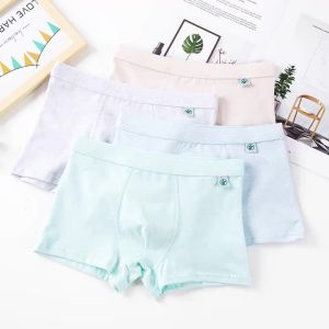 💗🙋‍♀️💗男童内裤纯棉a类儿童平角裤一件代发中大童宝宝四角裤头厂家批发