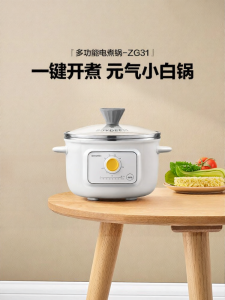 BUYDEEM | Multifunction Mini Electric Pot With Reservation Function