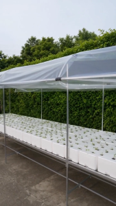 Metal Greenhouse Plant Rack with Transparent Cover Outdoor Vegetable Growing Stand for Home Garden