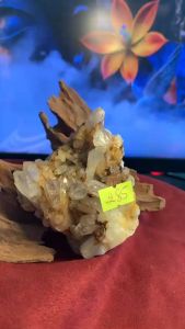 Đá thạch anh flowers ổ vàng Citrine tự nhiên thiên nhiên lấp lánh tinh thể phong thủy vũ trụ năng lượng cao mã số 285